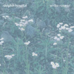 Album cover of “Escargot énorme / sobrecrisis” by dolphin hospital / arriba rosario! (split)