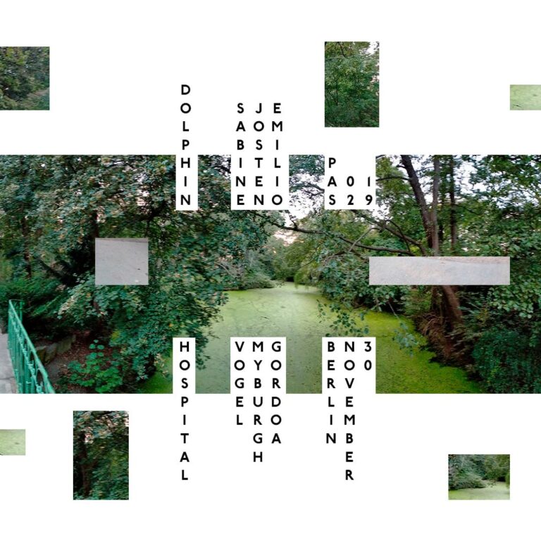 Photo 5472327903711723212 y